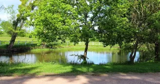 Les Mijarniers à Montbeugny dans l'Allier en Auvergne.