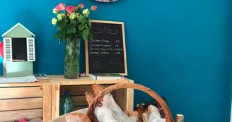 Camping La Croix Saint-Martin