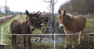 Chambres d'hôtes Le Domaine de Champeaux