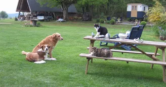 Chambres d'hôtes Le Domaine de Champeaux