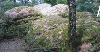 Rochers à cupules