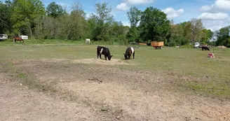 Camping à la ferme L'Hippocamp'