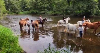 Camping à la ferme L'Hippocamp'