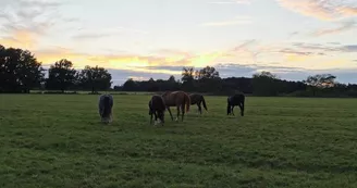 Camping à la ferme L'Hippocamp'