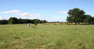 Camping à la ferme L'Hippocamp'