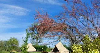 Camping Le Tournesol
