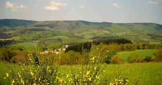 Sentier pédagogique du ruisseau ''Le Sapey''
