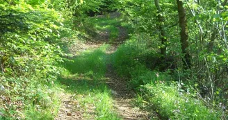 Sentier pédagogique du ruisseau ''Le Sapey''