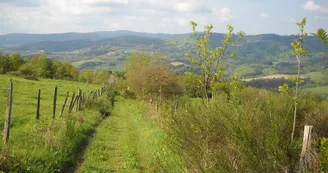 Sentier pédagogique du ruisseau ''Le Sapey''