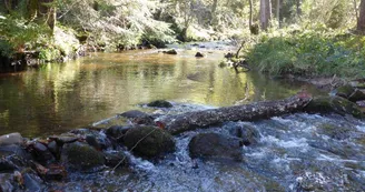 Le Moulin de Gitenay