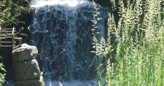 Le Moulin de Gitenay