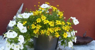 Le Moulin de Gitenay