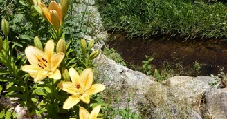 Le Moulin de Gitenay