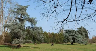 Bungalows du Château de la Croix