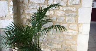 Maison du Tourisme d'Ébreuil