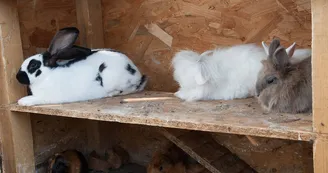 Manoir de "La Grand'Cour" et sa ferme pédagogique