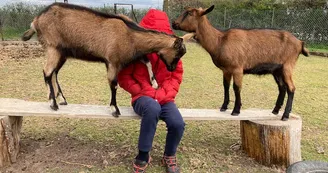 Manoir de "La Grand'Cour" et sa ferme pédagogique