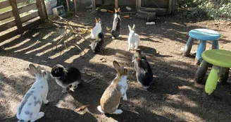 Manoir de "La Grand'Cour" et sa ferme pédagogique