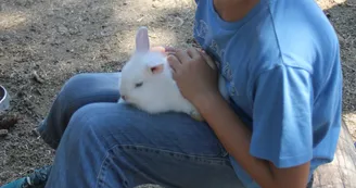 Manoir de "La Grand'Cour" et sa ferme pédagogique
