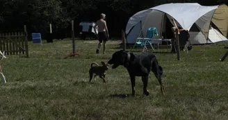 Camping canin Le Grand Larue