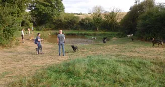 Camping canin Le Grand Larue