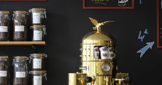 Venus Barista - Coffee Shop