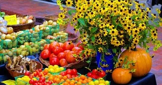 Marché de Producteurs de Coutansouze