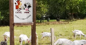 La Font da Chins - Senepin Jean-Yves