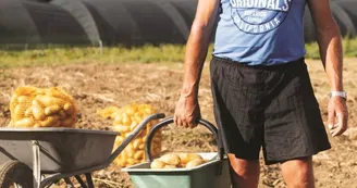 Patrick & Gérard MASSON