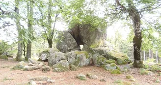Pierres Druidiques