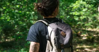 Forêt de Montpensier