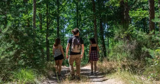 Forêt de Montpensier