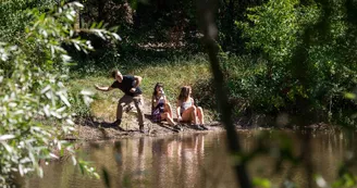 Forêt de Montpensier