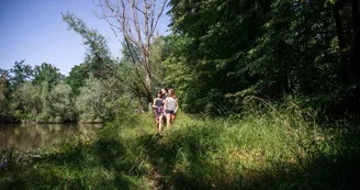 Forêt de Montpensier