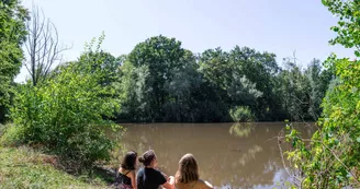 Forêt de Montpensier