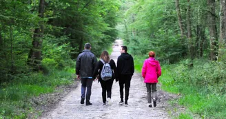 Forêt de Montpensier