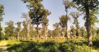 Chemin de la Galocherie au Tacot- PR 8