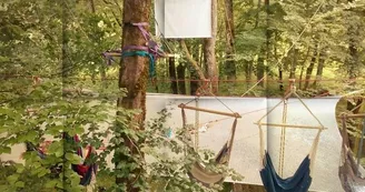 Graines d'arbres : Grimpe d'arbre et autres activités encadrées