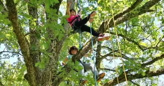 Graines d'arbres : Grimpe d'arbre et autres activités encadrées
