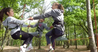 Graines d'arbres : Grimpe d'arbre et autres activités encadrées