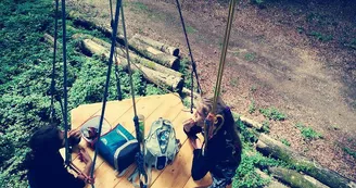 Graines d'arbres : Grimpe d'arbre et autres activités encadrées