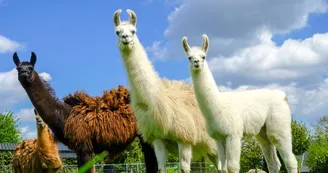 Deux-Chaises à pied - PR 4