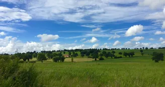 Circuit des Trois Clochers - PR 11