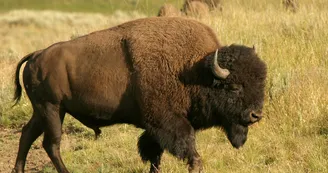 Circuit des Trois Clochers - PR 11