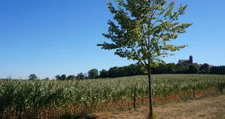 Circuit des Trois Clochers - PR 11