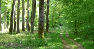 Panorama à la Chapelle Saint Michel