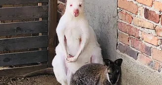Ferme pédagogique du Domaine de la Ganne