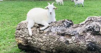 Ferme pédagogique du Domaine de la Ganne