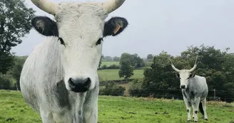 Ferme pédagogique du Domaine de la Ganne