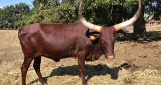 Ferme pédagogique du Domaine de la Ganne